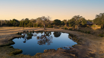 Sabi Sabi Bush Lodge: Holzterrasse mit Morgenlicht und Wasserloch