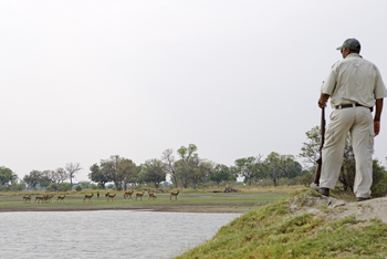 Shinde Lodge Shinde Lodge: Bewaffneter Guide