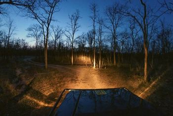 The Riverwood Forest Retreat: Safari in der Dämmerung