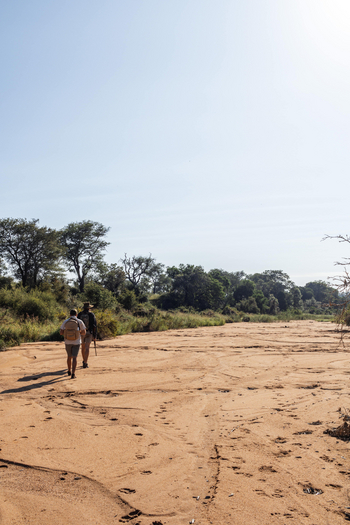 Thornybush Game Lodge: Bush Walk