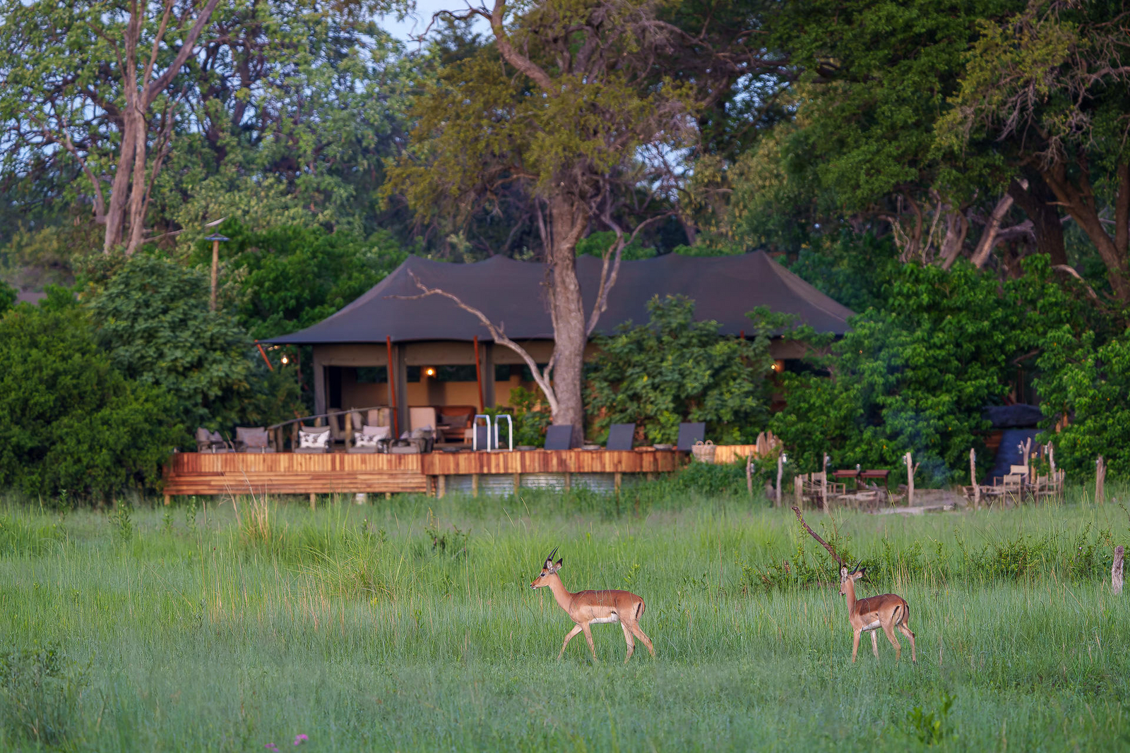 Karangoma Camp Karangoma Camp: Hauptzelt