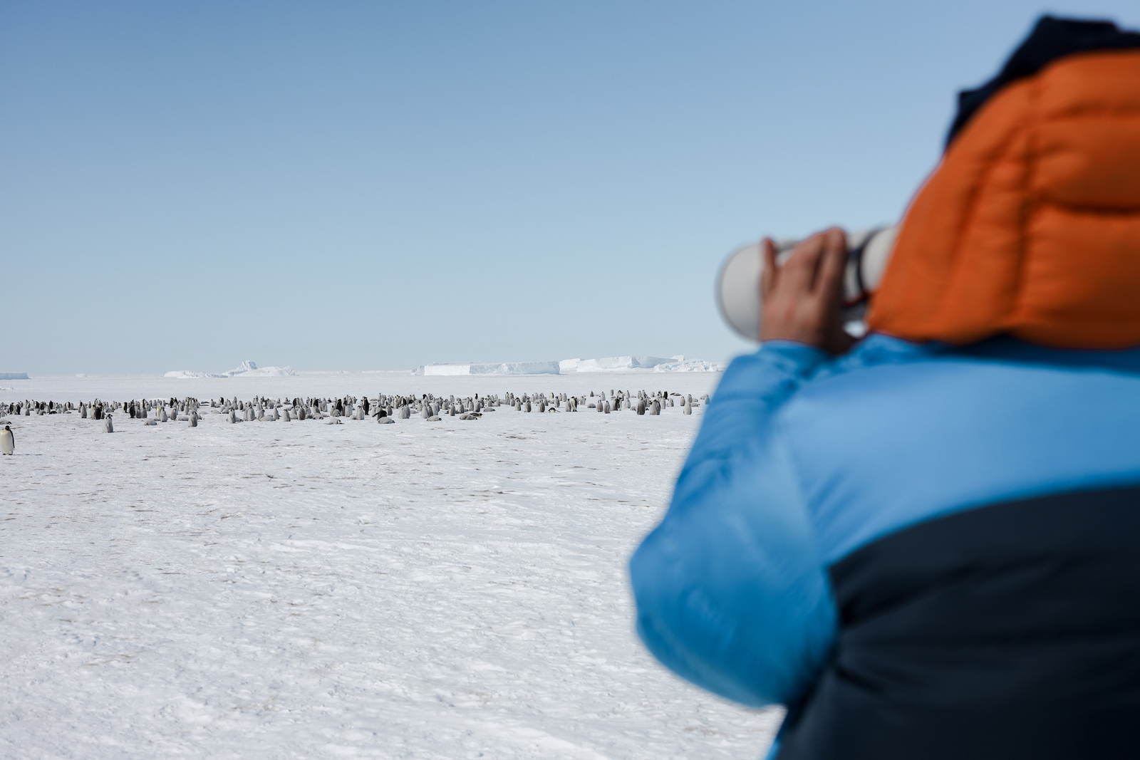 White Desert White Desert