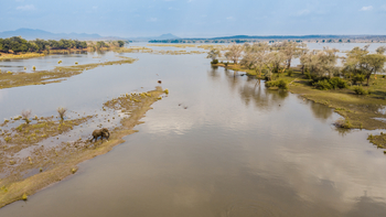 Amanzi Camp: Elefant in Flusslandschaft
