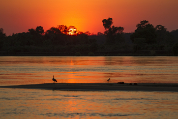 Classic Zambia Safaris Classic Zambia Safaris: Gans und Kiebitz