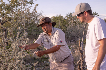 Etosha Oberland Lodge Etosha Oberland Lodge: Erklärungen zur Flora