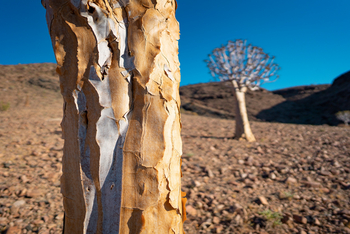 Fish River Lodge Fish River Lodge: Landschaft