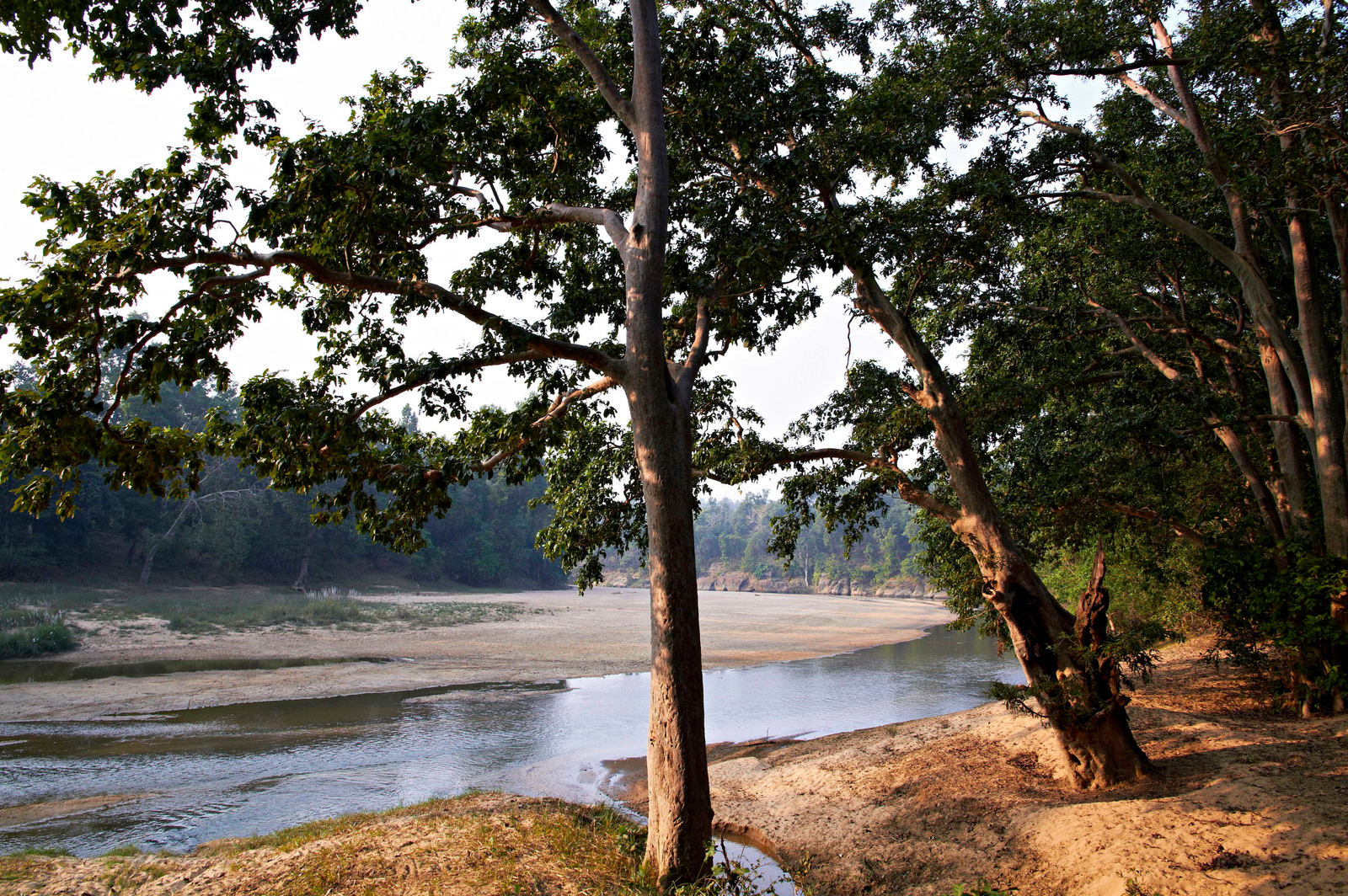 Samode Safari Lodge Samode Safari Lodge