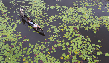 Island Safari Lodge: Mokoroausflug