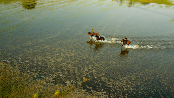 Kujwana Camp: Ritt durch klares Wasser