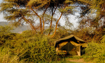 Lemala Manyara: Gästezelt