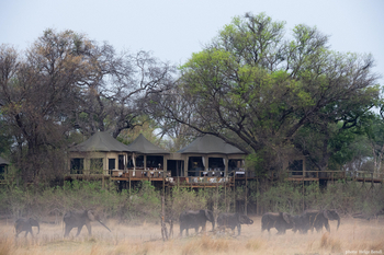 Nambwa Tented Lodge: Elefanten vor der Lodge