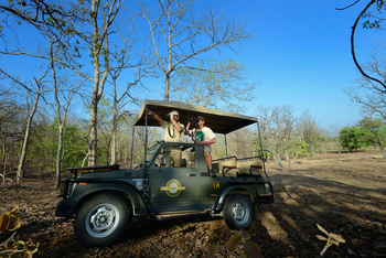 Pench Tree Lodge Pench Tree Lodge: Game Drive