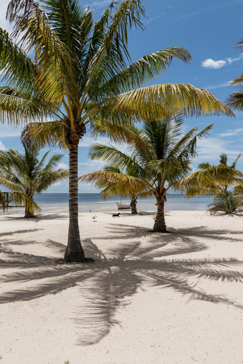 Sussurro: Palmen am Strand