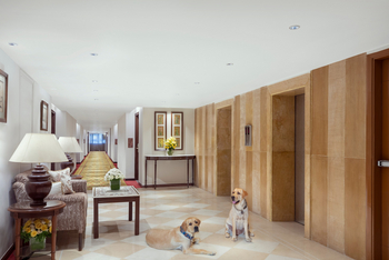 Tajview Hotel: Hundefreundliches Hotel