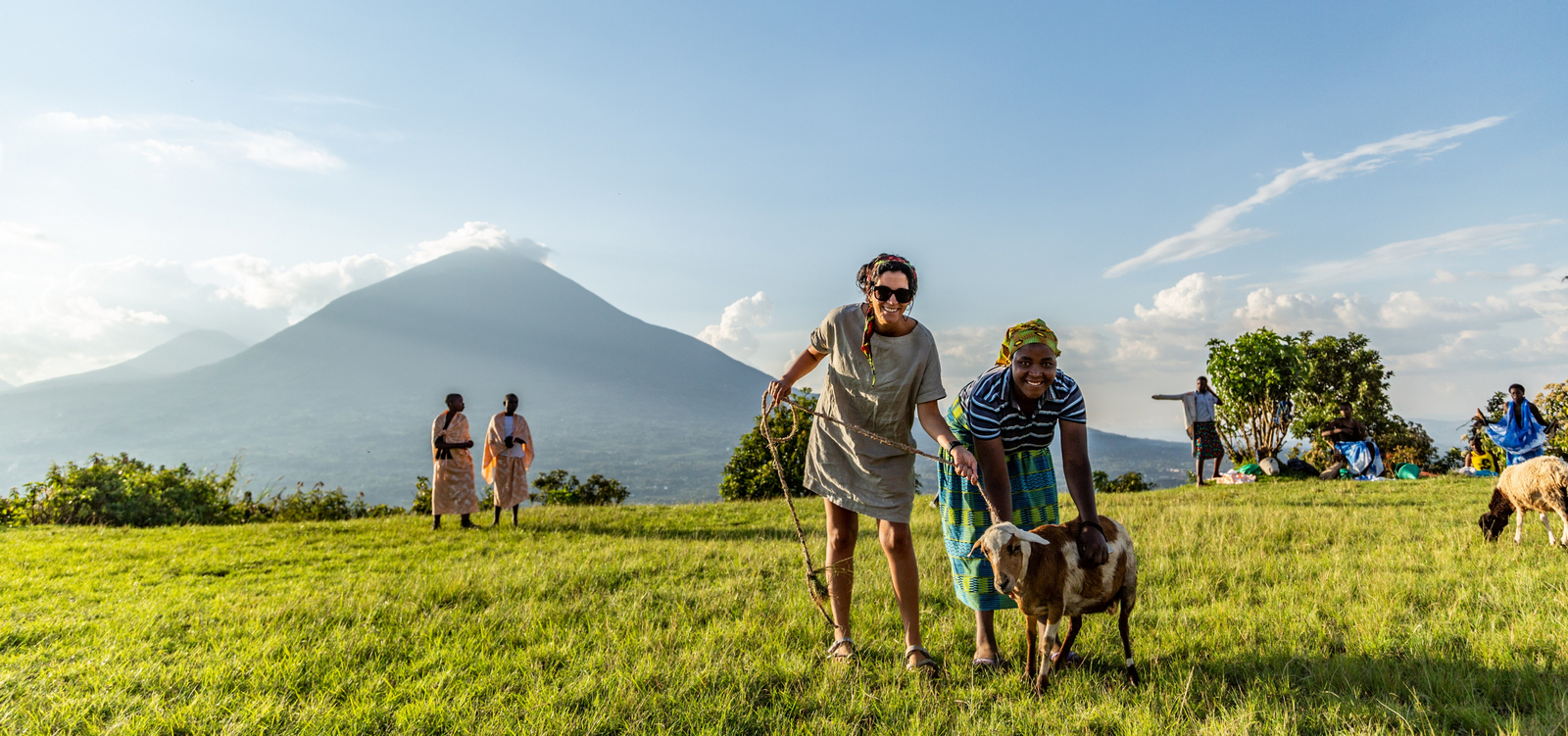 Volcanoes Virunga Lodge Volcanoes Virunga Lodge: Schafe vor Vulkankulisse