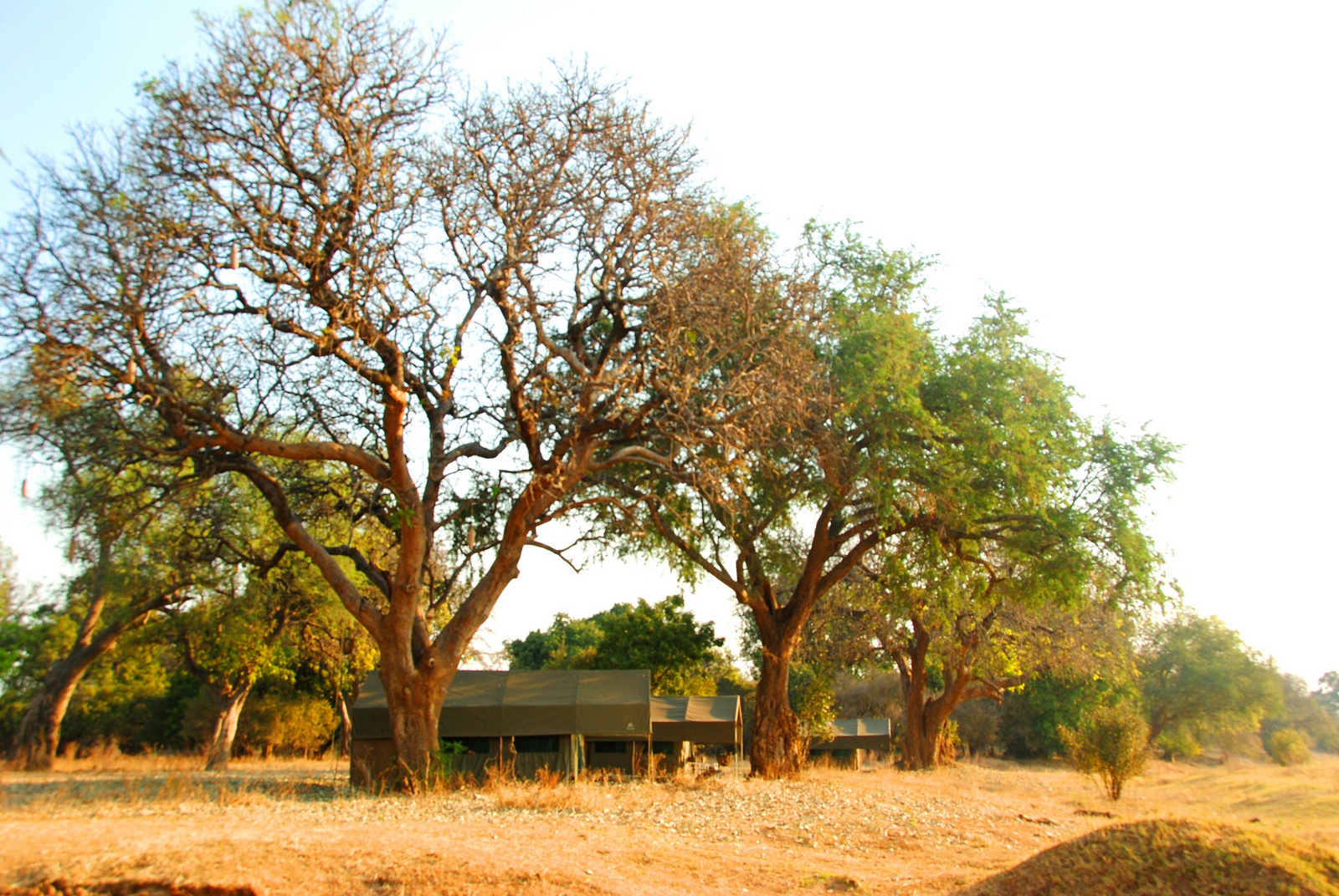 Camp Mana Camp Mana: Gästezelte