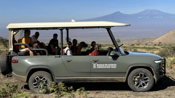 Campi ya Kanzi: Game Drive