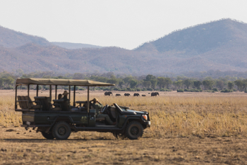 Classic Zambia Safaris Classic Zambia Safaris: Game Drive
