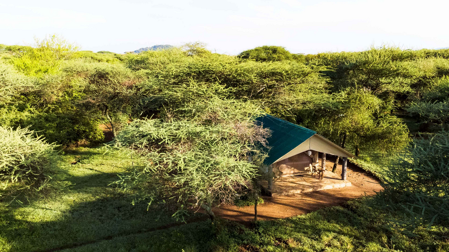 Ikoma Tented Camp