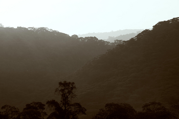 Kitela Lodge: Landschaft