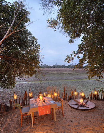 Lion Camp Lion Camp: Private Dining