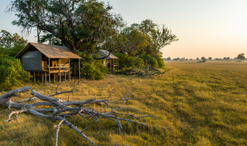 Mokolwane Camp: Gästezelte