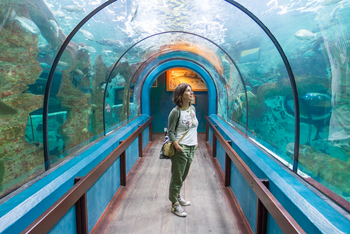 Namib Guesthouse: Aquarium