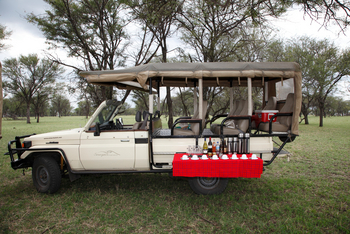 Serengeti Bushtops: Kaffeebar