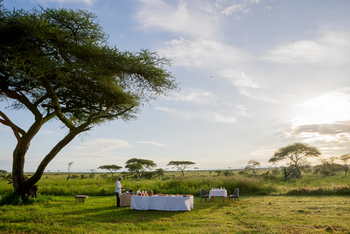 Serengeti Sametu Camp: Bush Breakfast