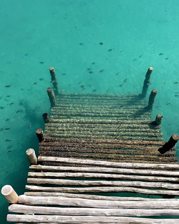 Sussurro: Deck - Einstieg ins Wasser