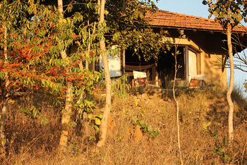 Flame of the Forest Safari Lodge: Blick auf ein Gästezimmer