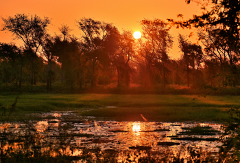 Gorongosa Safaris: Sonnenuntergang und reflektierendes Wasser