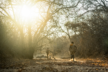 Kisima Ngeda Camp: Hadzabe-Jagd