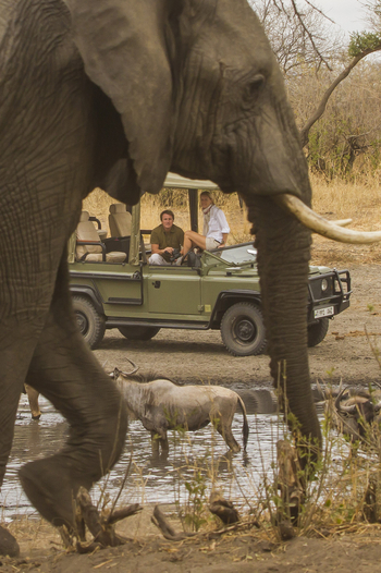 Little Chem Chem: Die Besitzer am Wasserloch