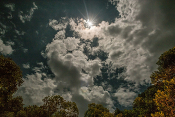 Losokwan Luxury Tented Camp: Himmel bei Nacht