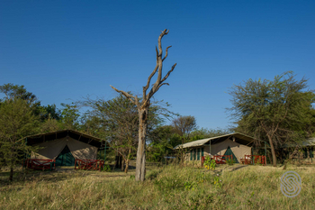Mbuzi Mawe Serena Camp: Gästezelte