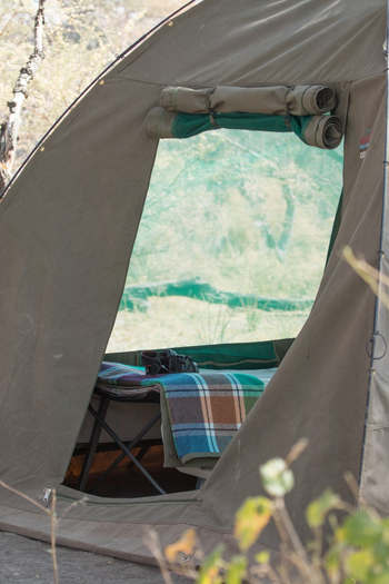 Moremi Crossing: Blick ins Zelt
