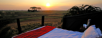 Mukambi Busanga Plains Camp: Star Bed