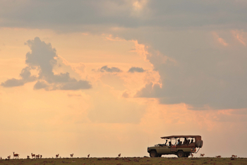 Naboisho Camp: Typische Landschaft