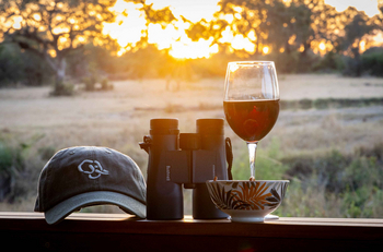 Sabi Sabi Bush Lodge: Abendliche Safari-Essentials bei Sonnenuntergang