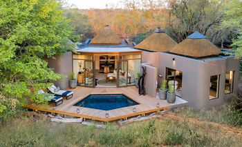 Sabi Sabi Bush Lodge: Holzterrasse mit Pool bei Tageslicht