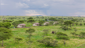 Serengeti Sametu Camp: Gästesuites