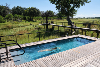 Xigera Safari Lodge Xigera Safari Lodge: Swimming Pool und Seerosenskulptur