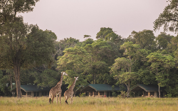 Governors' Camp: Classic Safari Tent