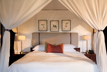 Klein's Camp: Kossen