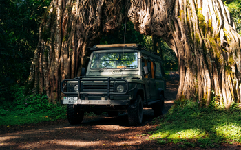 Koroi Forest Camp: Jeep unter einem Baum