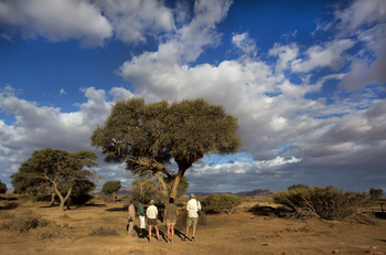 Kulala Desert Lodge: Naturwanderung mit Guide