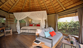 Lion Camp Lion Camp: Doppelbett mit Moskitonetz