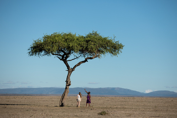 Mahali Mzuri: Game Drive