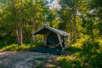 Migration Expeditions Camp Migration Expeditions Camp: Gästezelt am Waldrand